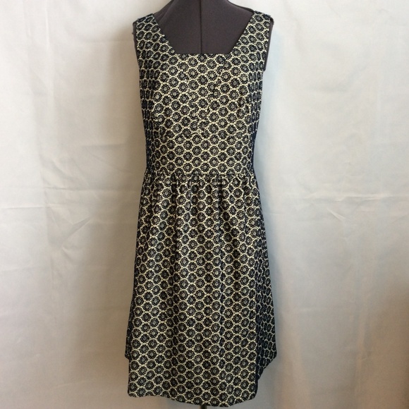 The Limited Dresses & Skirts - Party Dress Knee 12 Navy Blue Cream Lace Look New